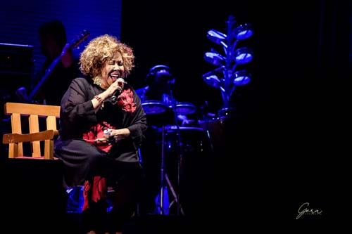 Gera Fotografia-Espetáculos-Alcione